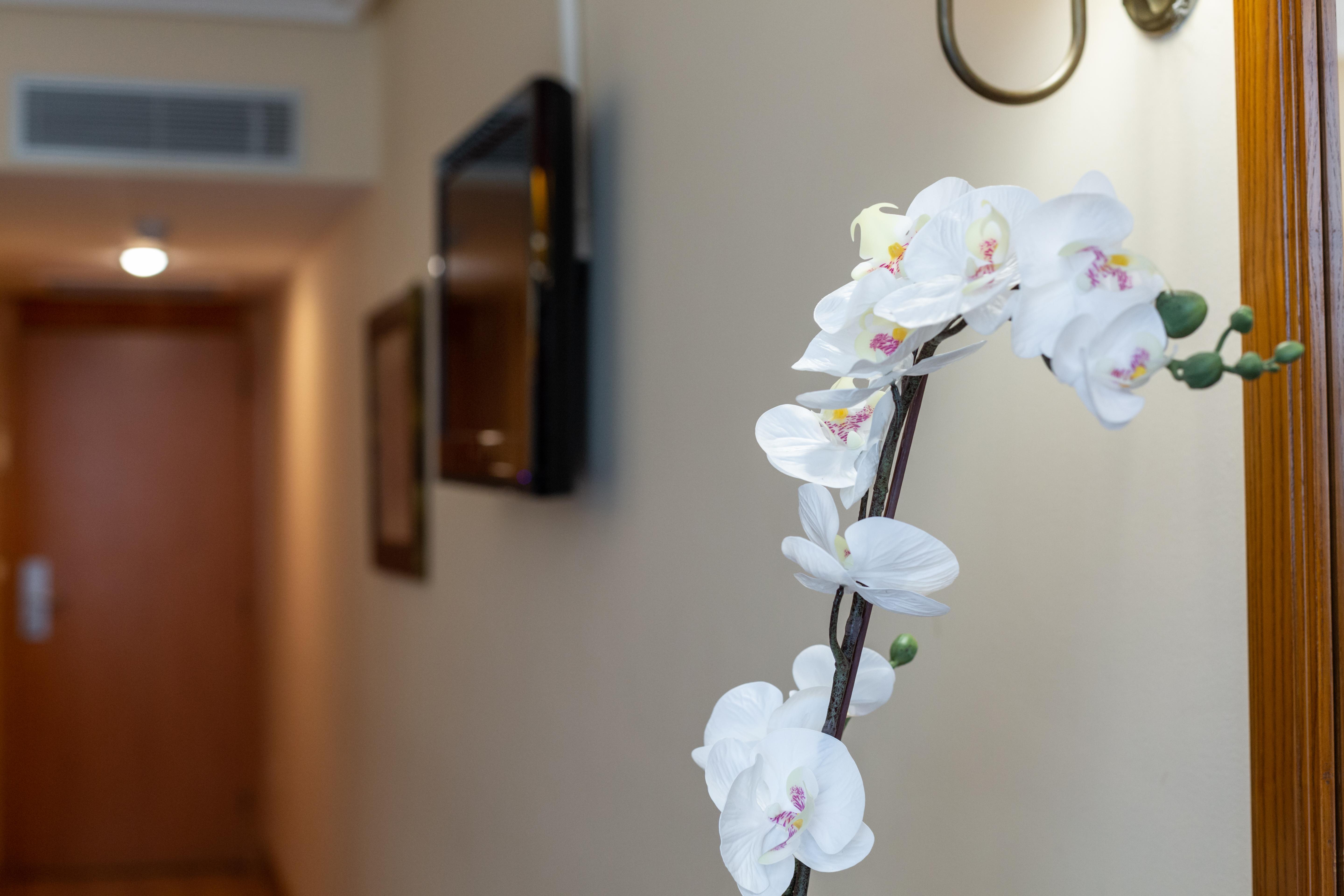Hotel Ciudad Onís Eksteriør bilde